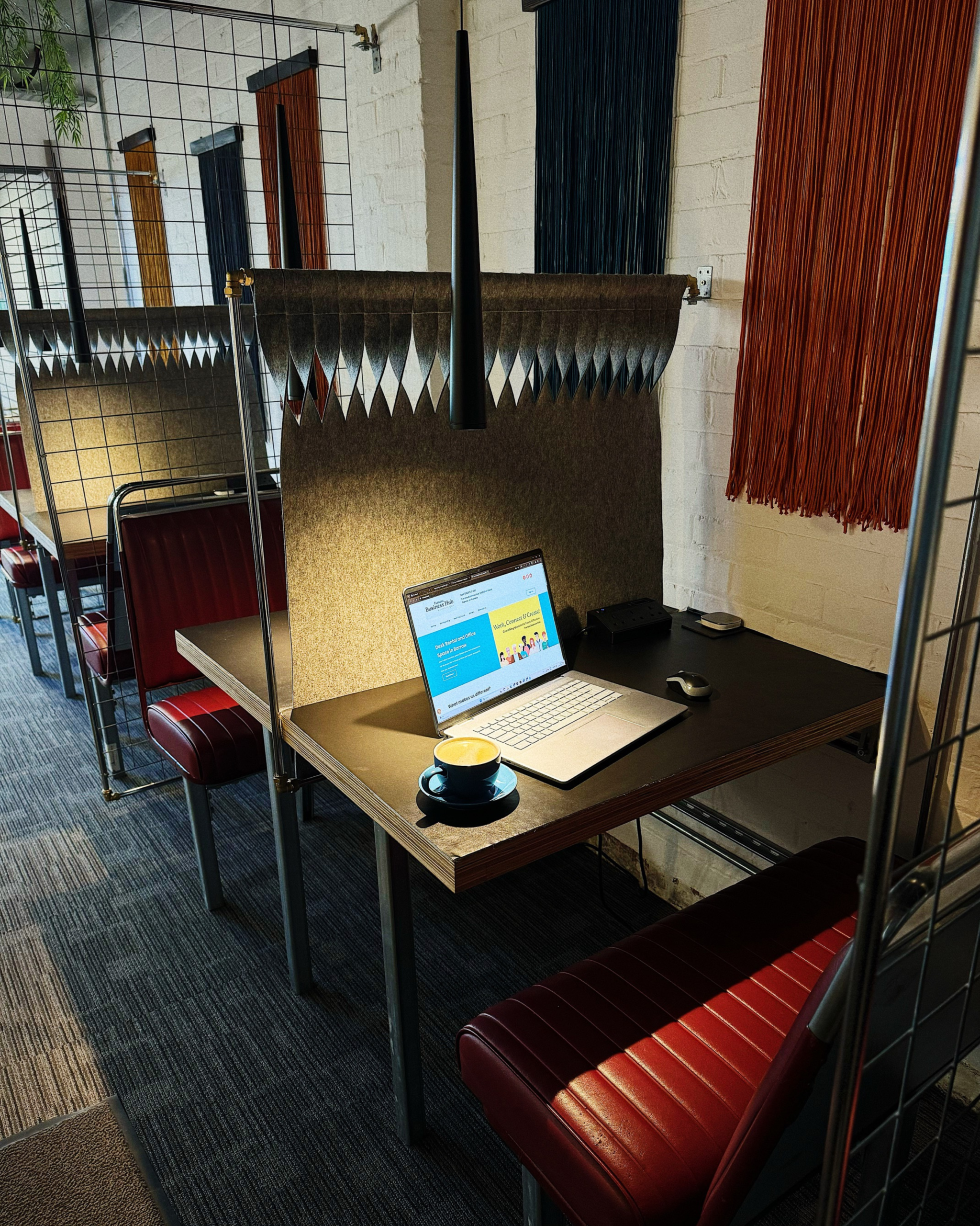 Furness Media is helping the planet, here’s how your business can too