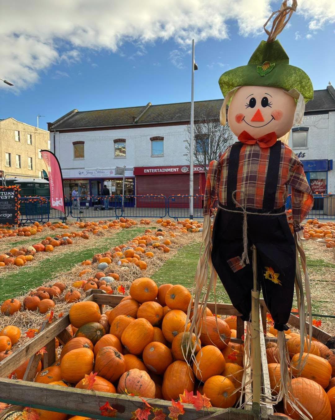 What's On - Autumn Fest